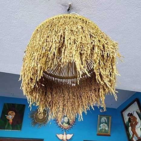 Paddy Hanging